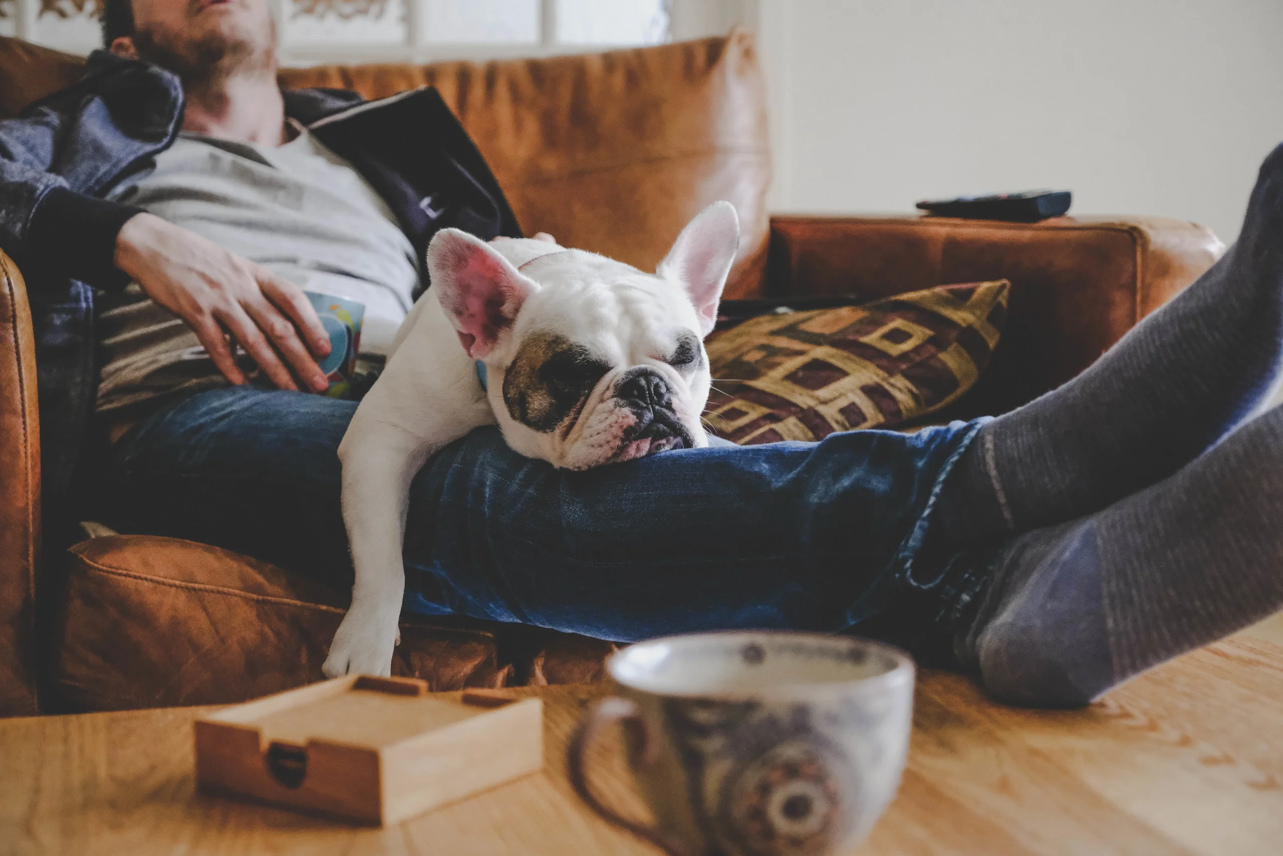 A young man is resting on his sofa with his pet dog. Both appear very tired.