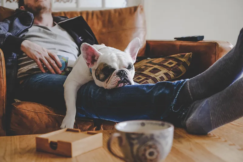 A young man is resting on his sofa with his pet dog. Both appear very tired.